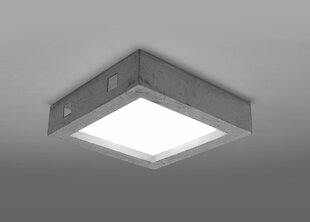 Потолочный светильник Sollux Riza, серый цена и информация | Потолочные светильники | hansapost.ee