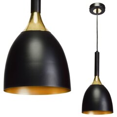 Подвесной светильник CLARK BLACK/GOLD 1xE27 цена и информация | Потолочный светильник, 38 x 38 x 24 см | hansapost.ee