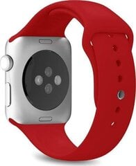 Закаленное стекло Puro для Apple Watch 7 (45 мм) цена и информация | Аксессуары для смарт-часов и браслетов | hansapost.ee