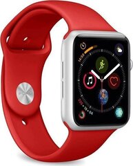 Закаленное стекло Puro для Apple Watch 7 (45 мм) цена и информация | Аксессуары для смарт-часов и браслетов | hansapost.ee