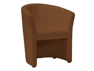 Кресло Tm-1, светло-коричневый цена и информация | Кресла для отдыха | hansapost.ee