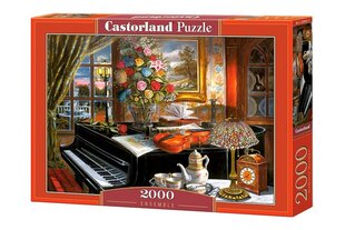 Пазл Castorland Puzzle Ensemble, 2000 д. цена и информация | Пазлы | hansapost.ee