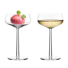 Iittala kokteiliklaaside komplekt Essence, 0,31 l, 4 tk. hind ja info | Klaasid, kruusid ja kannud | hansapost.ee