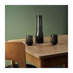 Iittala kann Essence, 1 l цена и информация | Стаканы, фужеры, кувшины | hansapost.ee