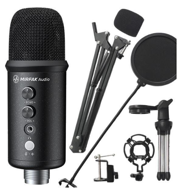 Mikrofon MFA09 цена и информация | Mikrofonid | hansapost.ee