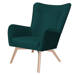 Кресло Selsey Fianna, зеленое цена и информация | Кресла | hansapost.ee