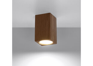 Потолочный светильник Sollux Keke 10 цена и информация | Потолочные светильники | hansapost.ee