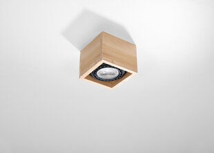 Потолочный светильник Sollux Quatro, коричневый, 1 лампочка цена и информация | Потолочные светильники | hansapost.ee