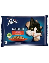 Felix märgtoit kassidele veise- ja kanalihaga, 4x85 g hind ja info | Kassikonservid | hansapost.ee