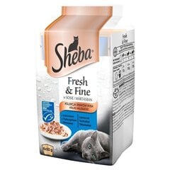 Sheba Fresh & Fine Mini märgtoit kassidele kala maitsega, 6x50 g цена и информация | Консервы для кошек | hansapost.ee