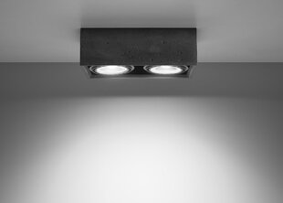 Потолочный светильник Sollux Quatro, светло-серый, 2 лампочки цена и информация | Потолочные светильники | hansapost.ee