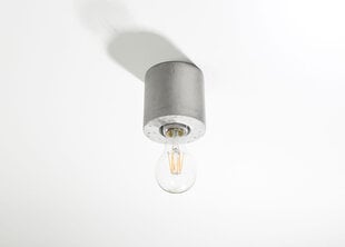 Потолочный светильник Sollux Salgado, светло-серый цена и информация | Потолочные светильники | hansapost.ee