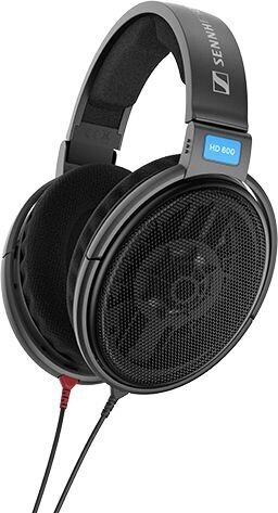 Sennheiser HD 600 цена и информация | Kõrvaklapid | hansapost.ee