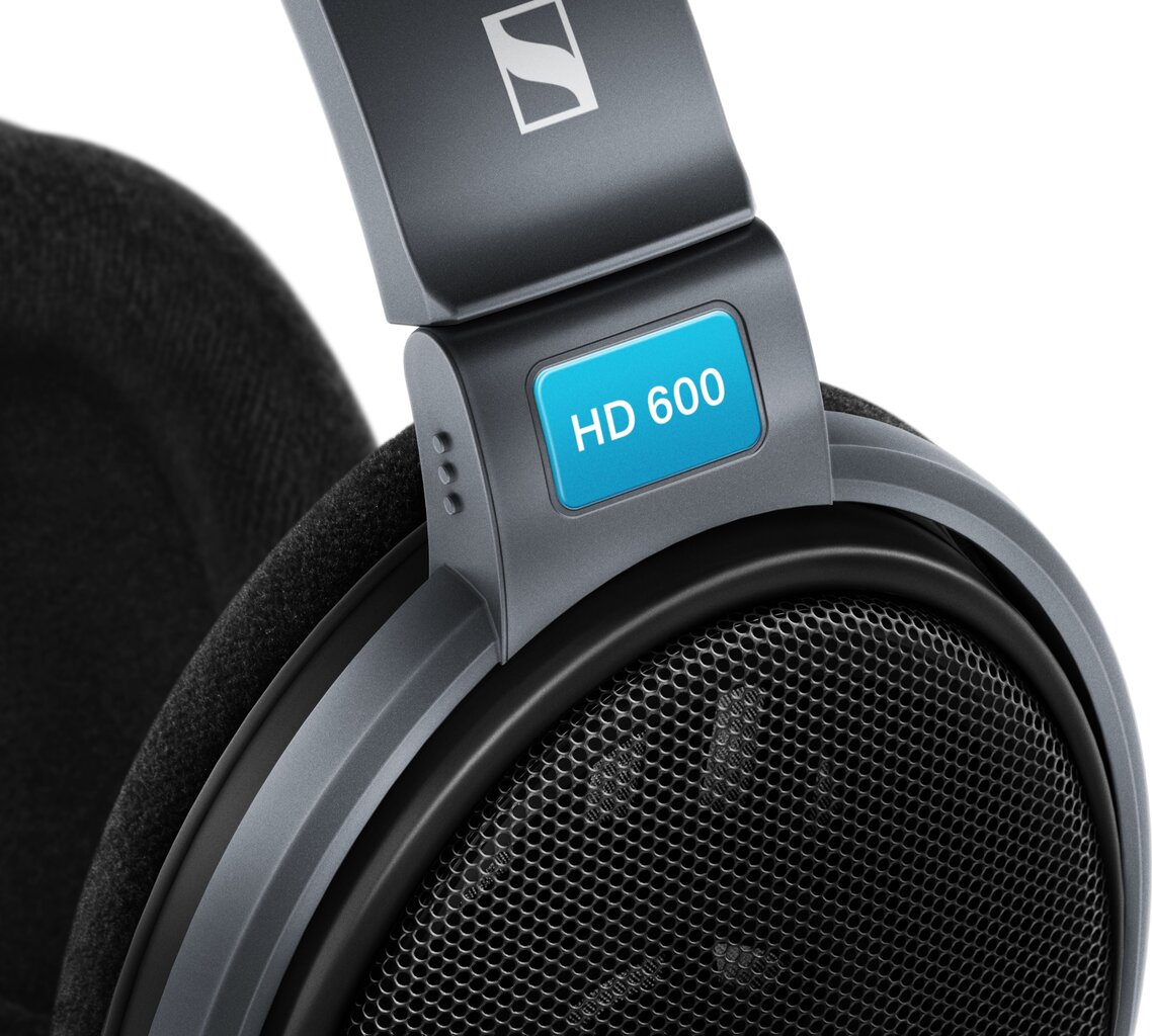 Sennheiser HD 600 цена и информация | Kõrvaklapid | hansapost.ee