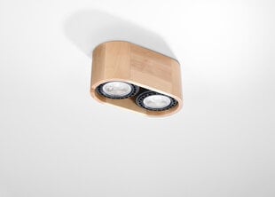 Sollux потолочный светильник Basic, коричневый цена и информация | Потолочные светильники | hansapost.ee