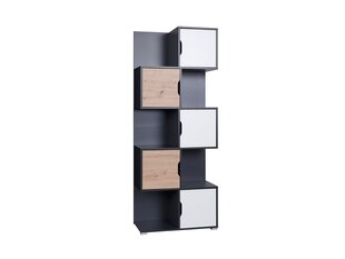 Стеллаж BSL Concept Iwa, 78,5x40x200 см, черная цена и информация | BSL Concept Мебель и домашний интерьер | hansapost.ee