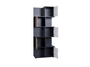 Стеллаж BSL Concept Iwa, 78,5x40x200 см, черная цена и информация | BSL Concept Мебель для гостиной | hansapost.ee