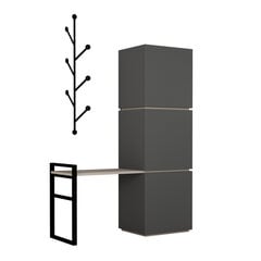 Комплект мебели для прихожей Kalune Design 855(I), темно-серый цена и информация | Комплекты в прихожую | hansapost.ee