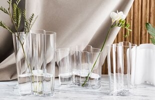 Iittala Aalto vaas, 25.1 cm kirgas цена и информация | Iittala Мебель и домашний интерьер | hansapost.ee