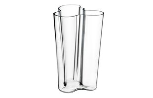 Iittala Aalto vaas, 25.1 cm kirgas цена и информация | Iittala Мебель и домашний интерьер | hansapost.ee