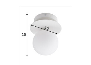 Globen Lighting светильник Art Deco цена и информация | Настенный светильник Конусы | hansapost.ee