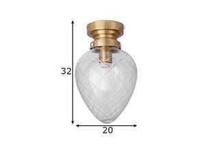 Globen Lighting laevalgusti Juni hind ja info | Laelambid | hansapost.ee