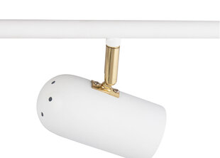 Globen Lighting laevalgusti Swan price and information | Ceiling lamps | hansapost.ee