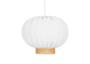 Globen Lighting laevalgusti Yokohama 50 price and information | Ceiling lamps | hansapost.ee