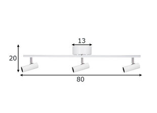 Globen Lighting laevalgusti Hubble price and information | Ceiling lamps | hansapost.ee