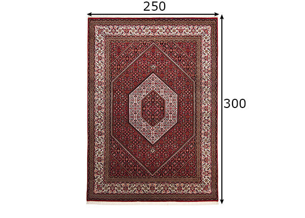 Vaip Theko Sirsa Silk 250x300 cm цена и информация | Vaibad | hansapost.ee