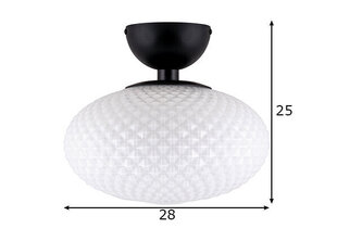 Globen Lighting потолочный светильник Jackson цена и информация | Потолочные светильники | hansapost.ee