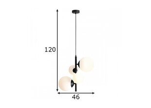 Aldex потолочный светильник Bloom цена и информация | Потолочные светильники | hansapost.ee