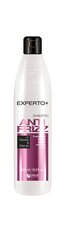 Šampoon kuivadele juustele Cece Experto+ Anti Frizz, 500 ml hind ja info | Šampoonid | hansapost.ee