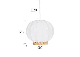 Globen Lighting потолочный светильник Yokohama 30 цена и информация | Потолочные светильники | hansapost.ee