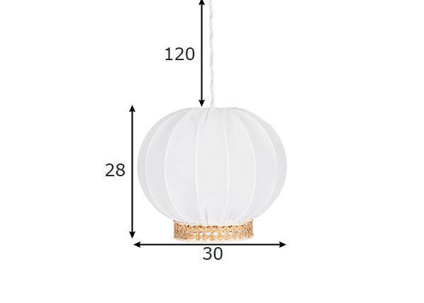 Globen Lighting laevalgusti Yokohama 30 цена и информация | Laelambid | hansapost.ee