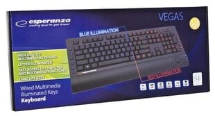 Esperanza EK114 USB цена и информация | Клавиатуры | hansapost.ee