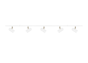 Потолочный светильник Globen Lighting Swan цена и информация | Потолочные светильники | hansapost.ee