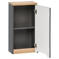 Шкаф для ванной комнаты Hakano Fargo, 35x70 см, темно-серый цена и информация | Шкафчики для ванной | hansapost.ee