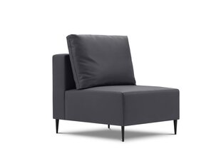 Средняя часть модульного дивана Calme Jardin Fiji, темно-серый цвет цена и информация | Садовые стулья, кресла, пуфы | hansapost.ee