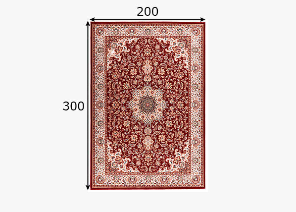 Vaip Theko Dolna 200x300 cm цена и информация | Vaibad | hansapost.ee