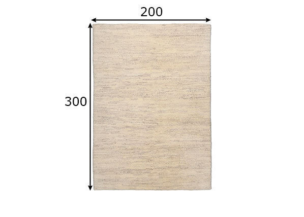 Vaip Theko Royal Double 200x300 cm цена и информация | Vaibad | hansapost.ee