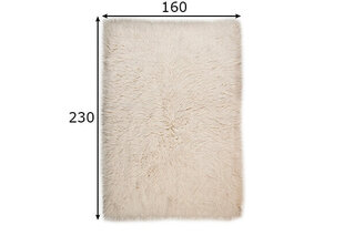 Vaip Theko Flokos 160x230 cm price and information | Carpets | hansapost.ee