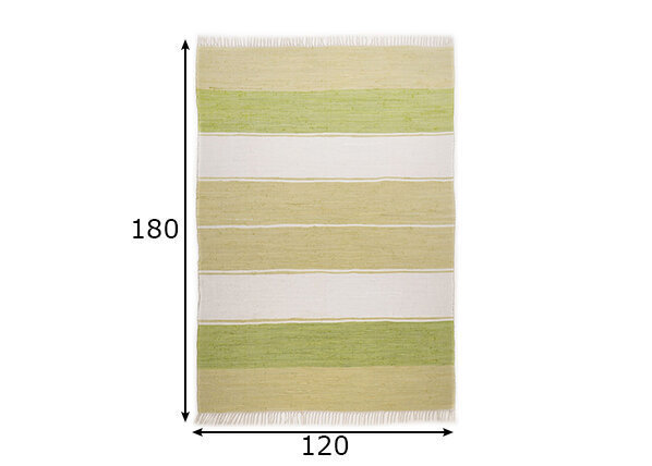 Vaip Theko Happy Design Stripes, 120x180 cm hind ja info | Vaibad | hansapost.ee