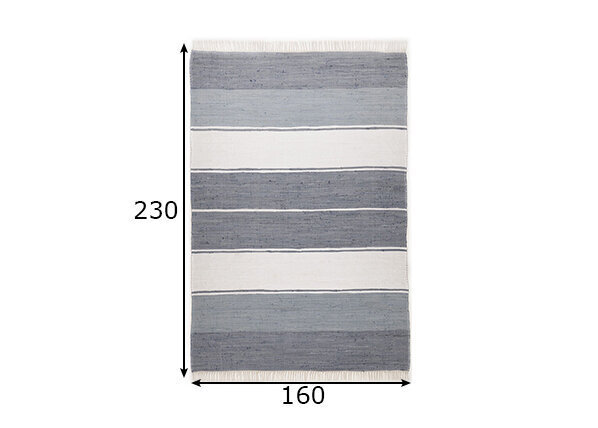 Vaip Theko Happy Design Stripes, 160x230 cm hind ja info | Vaibad | hansapost.ee