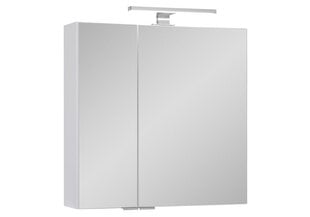 Подвесной шкаф для ванной комнаты Fabian, 60x68x16 см, белый цена и информация | Шкафчики для ванной | hansapost.ee