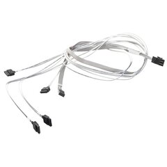 miniSAS->SATA CBL-SAST-0556 price and information | Wires and cables | hansapost.ee