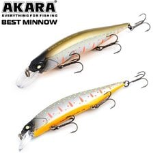 Vobler Akara Best Minnow 100SP A110 hind ja info | Landid, voblerid | hansapost.ee