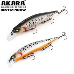 Vobler Akara Best Minnow 100SP A109 цена и информация | Воблеры, приманки, блесны | hansapost.ee