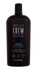 Puhastav šampoon rasustele juustele Detox Shampoo, 1000ml цена и информация | Шампуни | hansapost.ee