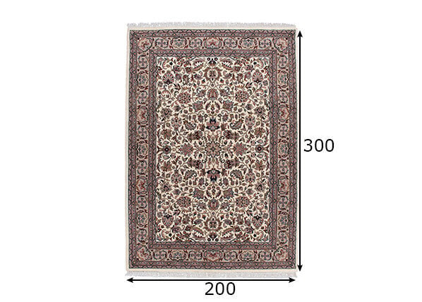 Theko vaip Benares Isfahan 200x300 cm hind ja info | Vaibad | hansapost.ee